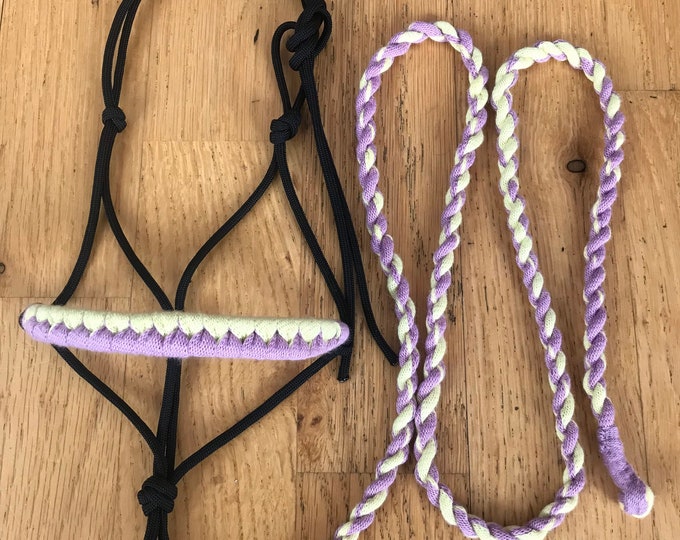Hobby Horse Rope Halter and Lead, Black With Light Purple and Yellow ...