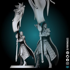 Elf Soldier - Premium Plant Based Resin 3D Geprinte Miniatuur, TableTop Gaming, Dungeons and Dragons Fantasy Creature Figuur