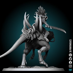 Raptor Rider/armoured/solo - Premium Plant Based Resin 3D Printed ...