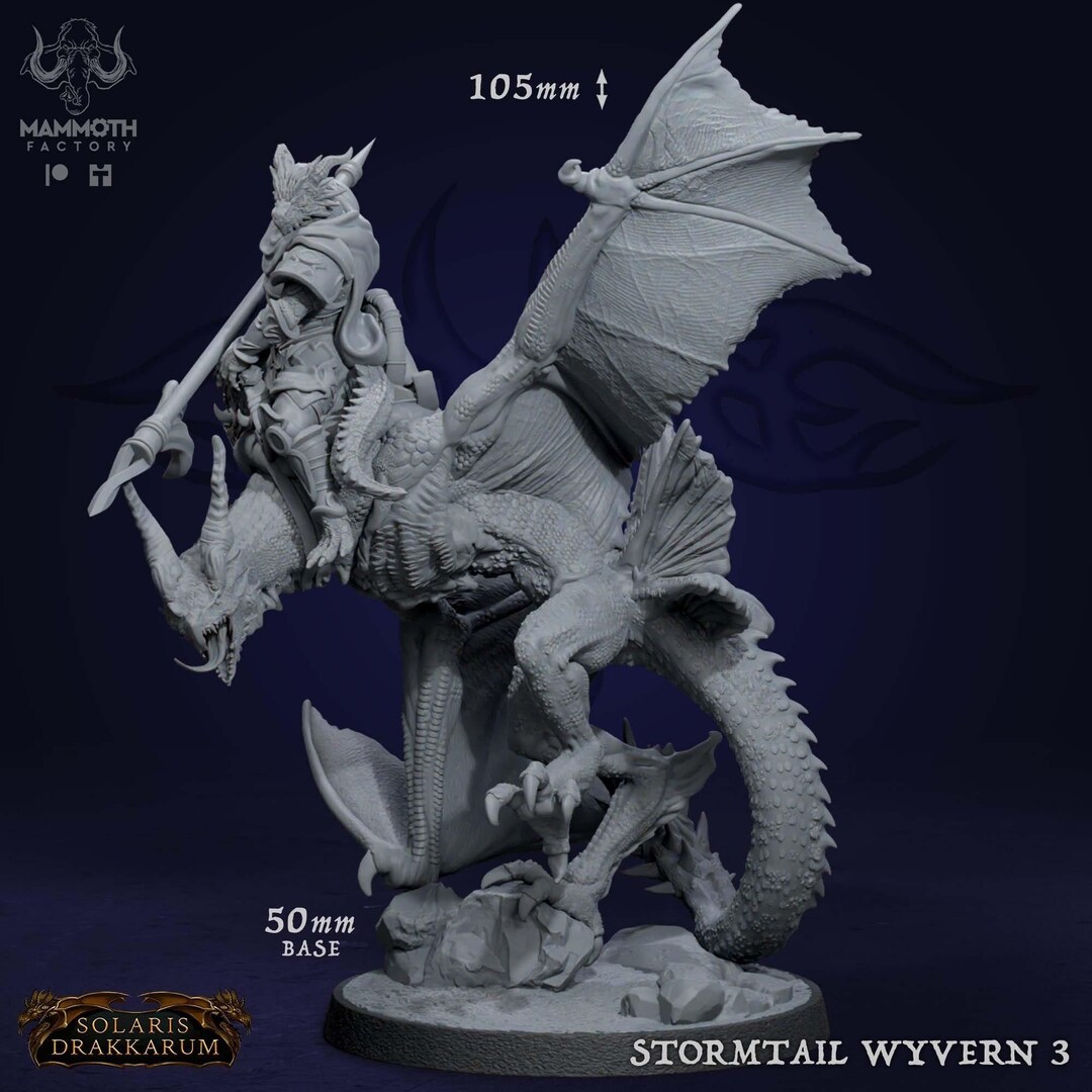 Stormtail, Wyvern Rider, Walk - Premium 12k Quality | Highly Detailed ...