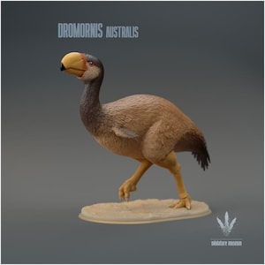 Dromornis Australis Run - Premium 12k Quality | Highly Detailed Figures | Fantasy RPG Characters | Tabletop Gaming Models