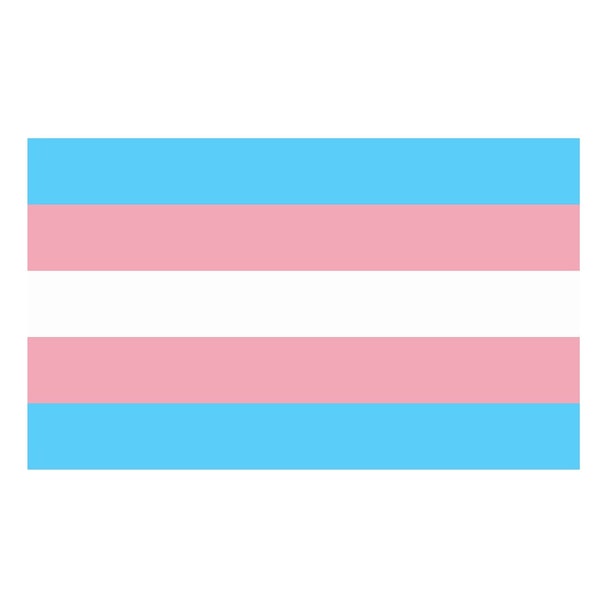 Transgender Pride Flag Sticker Decal You Belong Here Pride Flag LGBTQ Transgender Pride Diversity Rights Equality