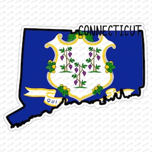 May include: A blue outline of the state of Connecticut with the state flag inside. The flag features a white shield with a gold border and three grapevines with five grapes each. The text "QUI" is on a white ribbon at the bottom of the shield. The text "CONNECTICUT" is above the state outline.