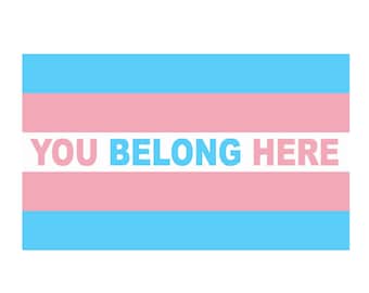 Adhesivo de vinilo con la bandera del orgullo transgénero - "Aquí perteneces" Calcomanía LGBTQ