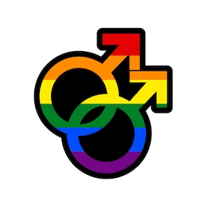 Calcomanía con símbolo de género masculino doble Bandera de orgullo LGBTQ Gay Lesbiana Comunidad Orgullo Diversidad Derechos Igualdad