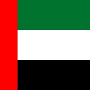 Emiratos Árabes Unidos bandera hierro en vinilo de transferencia de calor HTV/EAU/Abu Dhabi/Dubai/Emirati