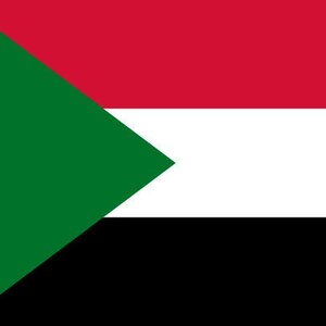 May include: The flag of Sudan, a horizontal tricolour of red, white, and black with a green triangle at the hoist.