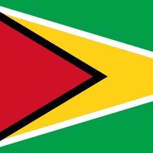 Puede incluir: La bandera de Guyana presenta un fondo verde con un triángulo amarillo que apunta hacia la derecha, bordeado por una línea blanca. Dentro del triángulo hay un triángulo rojo que apunta hacia la izquierda, bordeado por una línea negra.
