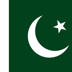 Pakistan Flag Iron On Heat Transfer Vinyl HTV / Islamic Republic of Pakistan / Islamabad / Pakistani