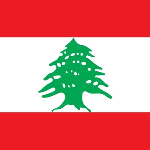 Lebanon Flag Iron On Heat Transfer Vinyl HTV / Republic of Lebanon / Lebanese Republic / Beirut / Lebanese