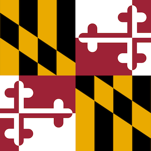 May include: The Maryland state flag features a quartered design with alternating black and gold diagonal stripes in two quadrants. The other two quadrants display a red and white cross design.