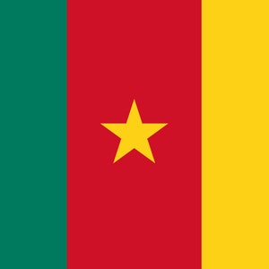 May include: The flag of Cameroon features three vertical stripes: green on the left, red in the center, and yellow on the right. A yellow five-pointed star is centered on the red stripe.
