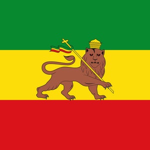May include: The flag of Ethiopia features a green, yellow, and red horizontal tricolor with a lion holding a staff and a cross in the center. The lion is brown and the staff is gold.