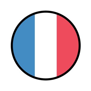 Etiqueta engomada del círculo de la bandera de Francia