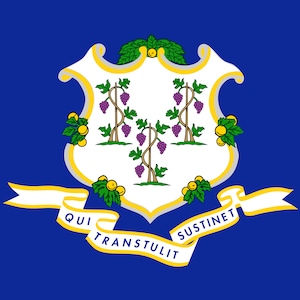 May include: The state flag of Connecticut features a white shield with three grapevines, each with three bunches of purple grapes, on a blue background. The shield is surrounded by a gold border and a gold ribbon with the words "QUI TRANSTULIT SUSTINET" in white.