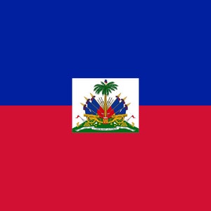 Haiti Flag Iron On Heat Transfer Vinyl HTV / Republic of Haiti / Hayti / Liberté, égalité, fraternité / Port-au-Prince / Haitian