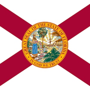 Stato della Florida Flag Iron On Heat Transfer Vinyl HTV Florida State Tallahassee The Sunshine State Alligator State Everglade State