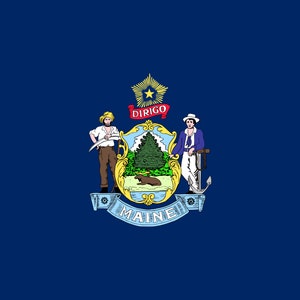 Decalcomania adesiva bandiera stato del Maine / USA Maine State / Augusta / The Pine Tree State