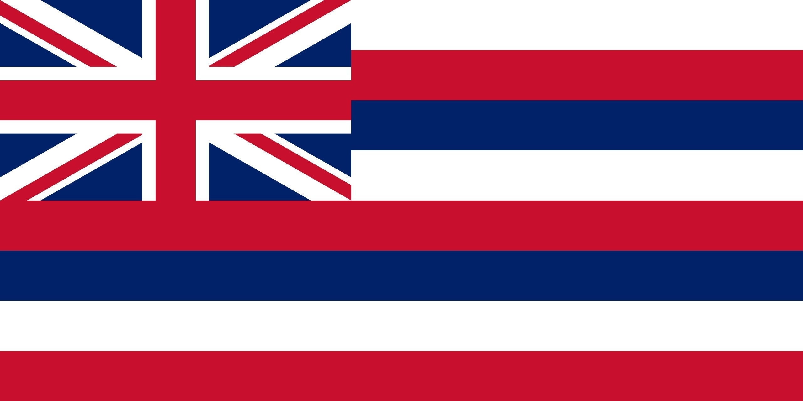 State of Hawaii Flag Iron on Heat Transfer Vinyl HTV Hawaii State ...