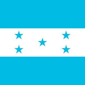 Honduras Flag Iron On Heat Transfer Vinyl HTV / Republic of Honduras / Libre, Soberana e Independiente / Tegucigalpa / Honduran