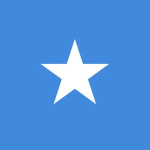 May include: The flag of Somalia is a solid light blue with a large white five-pointed star in the center.