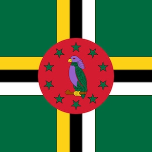 May include: The flag of Dominica, a green flag with a yellow and black cross. A red disc in the centre shows a Sisserou parrot surrounded by ten green stars. The flag's design represents the island nation's natural beauty and cultural heritage.