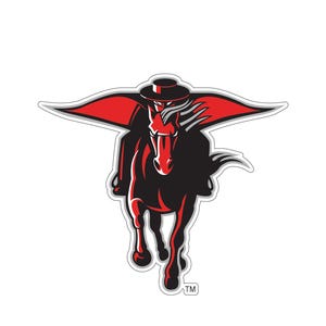 Texas Tech Red Raiders TTU Car Decal Vinyl Decal University Monogram Sticker Sticker for Car Decal for Car