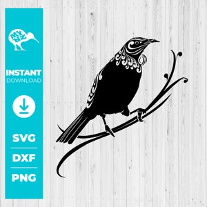 Tui, Native New Zealand Bird, Bird Svg, New Zealand Svg, Tui Svg, NZ Svg, Stylised Bird Svg, Nz Bird, Bird Art Svg, Love New Zealand, Bird
