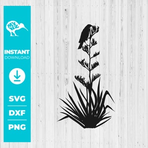 Tui Bird Svg, Tui Svg, Tui Dxf, Nz Flax Svg, Nz Birds, New Zealand Dxf, Koru Svg, Nz Bird Art, Maori Svg, New Zealand Fauna Dxf, Svg NZ