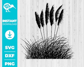 Toi Toi Grass-SVG, inheemse Nieuw-Zeelandse struikkunst, botanisch ontwerp, digitale download