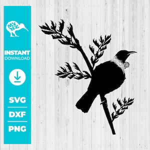 Tui On Flax Svg, Love Tui Art, New Zealand Tui, Nz Bird Svg, Native New Zealand, Flax Bush, Bird Svg, Bird Art Svg, Kiwiana Svg, New Zealand