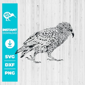 Kea Bird, Nieuw-Zeeland Vogel, Inheemse Papegaai, Vogel Svg, Nz Vogel Svg, Papegaai Svg, Cricut Vogel Svg, NZ Print Svg, Cricut Svg, NZ, Bird Print, Svg