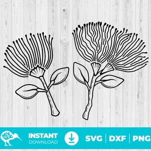 Pode incluir: Dois desenhos em preto e branco de flores de pohutukawa, uma flor de Natal tradicional da Nova Zelândia.