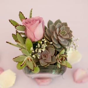 May include: A small glass vase filled with a pink rose and succulents. The vase is sitting on a light pink surface.