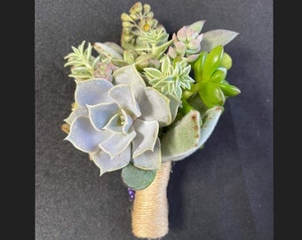 Live Succulent Boutonnieres / Wedding / Groom / Sola wood / Faux Flowers / Dried Preserved Naturals/ Bridal / Special Occasion / Suit / Tux