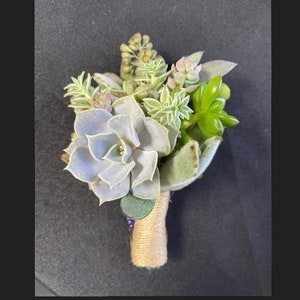 May include: A small bouquet of succulents tied with twine, featuring a large grey-green succulent in the center.