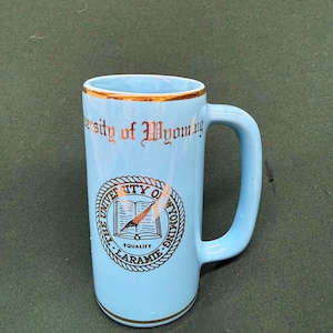 May include: A light blue ceramic mug featuring a metallic gold rim and base. The text University of Wyoming is printed in gold above a circular seal containing an open book graphic and the word Equality, all rendered in a metallic gold finish.