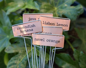 Copper Plant Markers | Garden Markers
