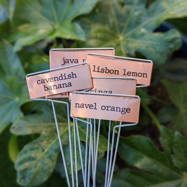 Copper Plant Markers | Garden Markers