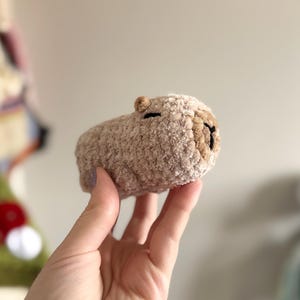 Baby Capybara | Handmade Crochet Plushie | Amigurumi Capybara