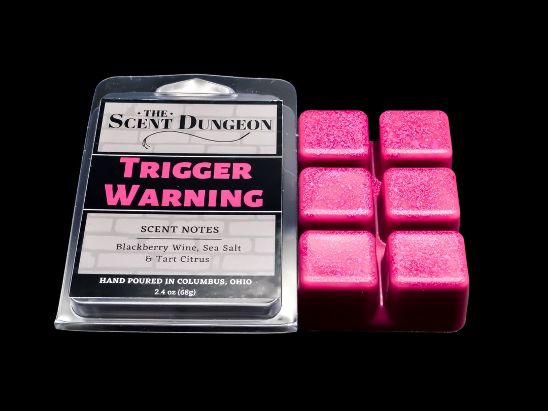Trigger Warning Wax Melts Bookish Wax Melt Naughty Gift for Him Sexy