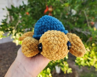 Mini Turtle