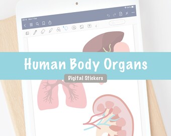 Anatomia umana Organi del corpo Adesivi digitali / ClipArt di biologia umana / GoodNotes Notability