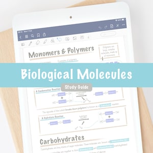 Biological Molecules Study Notes Organic Chemistry Biology Digital Study Guide | A Level Higher High School AP Biology |