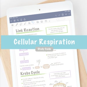 Cellular Respiration Aerobic Anaerobic Tissue Respiration Study Notes High School A Level Biology Biochemistry PDF Guide