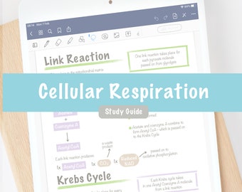 Respirazione cellulare Respirazione tissutale aerobica anaerobica Note di studio Guida PDF di biochimica di biologia di livello A della scuola superiore