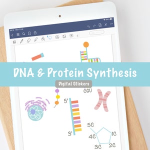 Puede incluir: Pegatinas digitales para enseñar sobre el ADN y la síntesis de proteínas. Las pegatinas presentan ilustraciones de una célula, ADN, cromosomas y una hebra de ARN con la etiqueta 'CGU'.