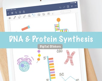 Adesivi digitali di genetica / Crea la tua guida allo studio / Replica della struttura del DNA Proteine di espressione genica / Biologia di livello A della scuola superiore