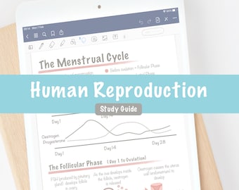 Guida allo studio della riproduzione umana / Sistema riproduttivo degli ormoni / Note digitali sulla biologia umana