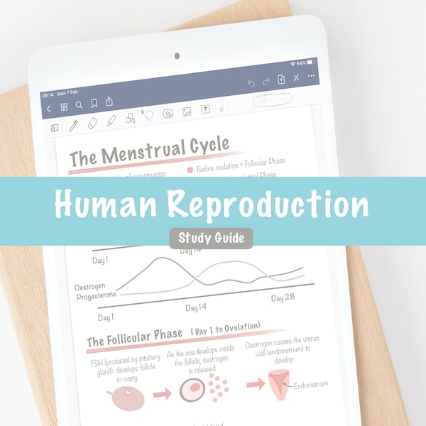 Human Reproduction Study Guide | Hormones Reproductive System | Human Biology Digital Notes